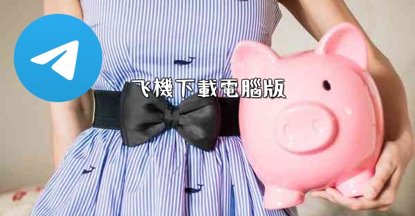 飞機下載電腦版