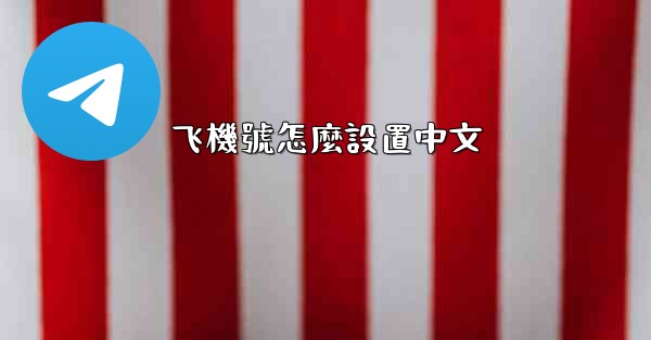 飞機號怎麼設置中文