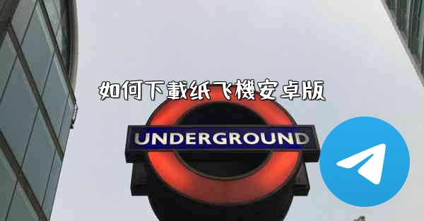 如何下載纸飞機安卓版
