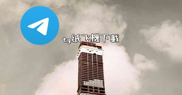 tg纸飞機下載