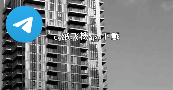 tg纸飞機app下載
