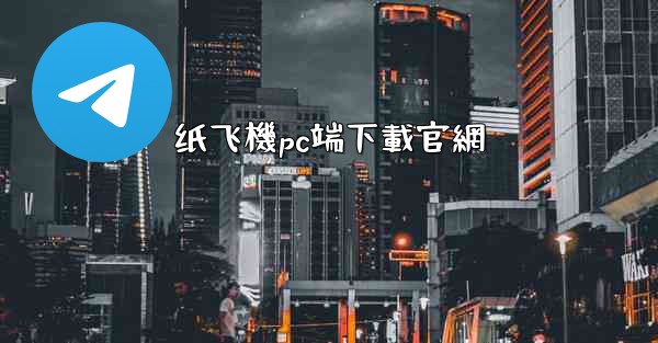 纸飞機pc端下載官網