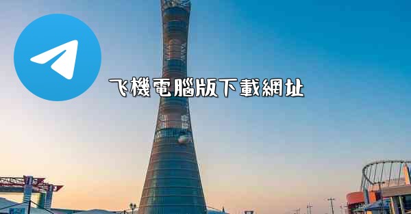 飞機電腦版下載網址