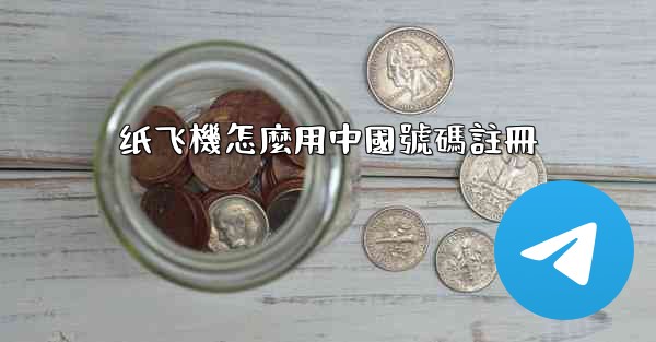 纸飞機怎麼用中國號碼註冊