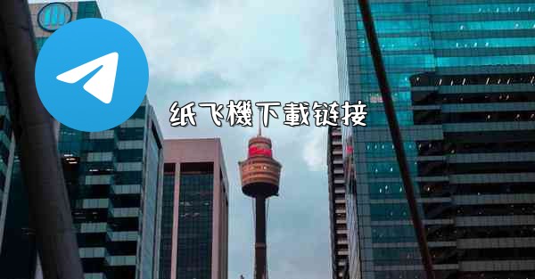 纸飞機下載链接