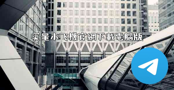 买量小飞機官網下載電腦版