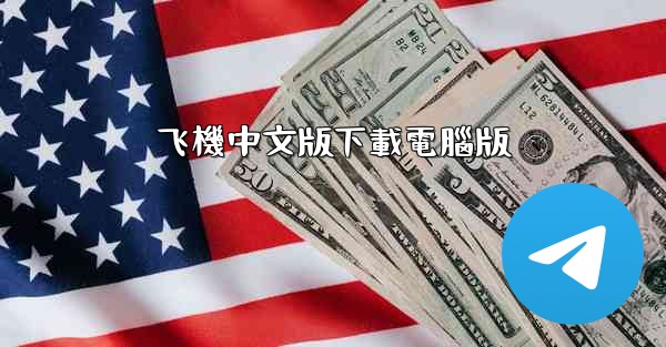 飞機中文版下載電腦版