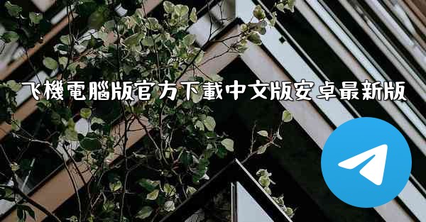 飞機電腦版官方下載中文版安卓最新版