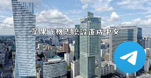 苹果飞機怎麼設置成中文