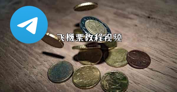 飞機票教程视频