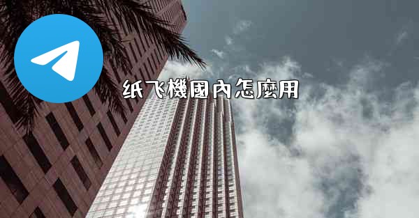 纸飞機國內怎麼用