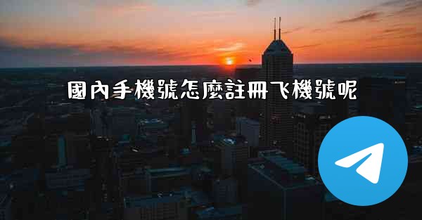 國內手機號怎麼註冊飞機號呢