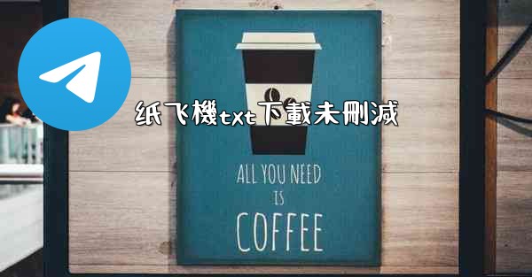 纸飞機txt下載未刪減