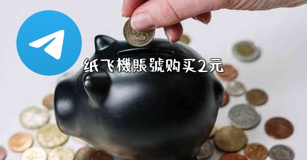 纸飞機賬號购买2元