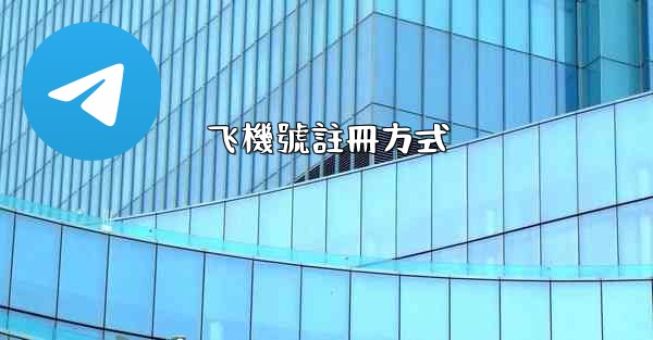 飞機號註冊方式