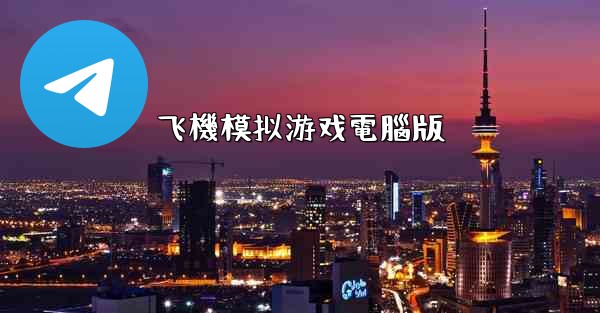 飞機模拟游戏電腦版