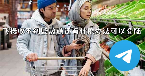 飞機收不到驗證碼还有什麼办法可以登陆