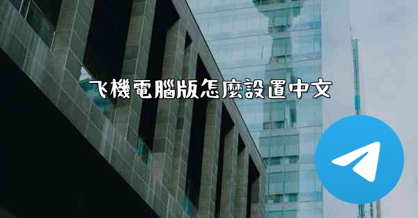 飞機電腦版怎麼設置中文