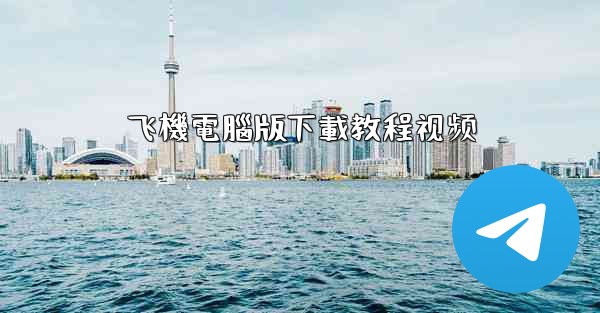 飞機電腦版下載教程视频