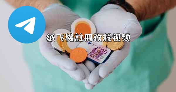 纸飞機註冊教程视频