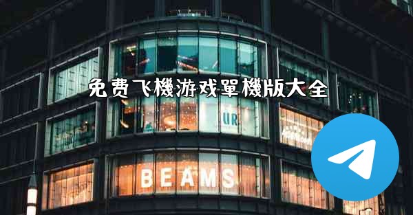 免费飞機游戏單機版大全