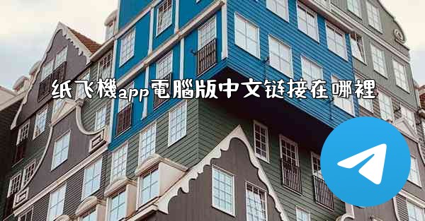 纸飞機app電腦版中文链接在哪裡