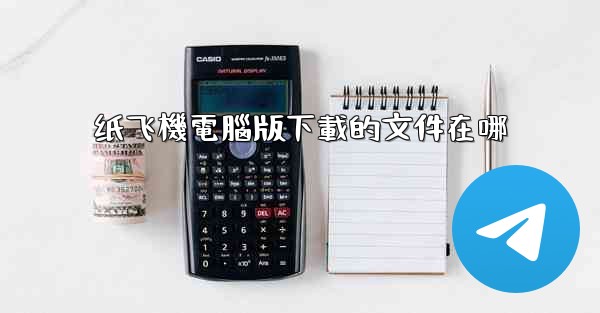 纸飞機電腦版下載的文件在哪