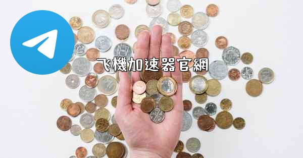 飞機加速器官網