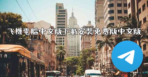 飞機電腦中文版下載安裝免费版中文版