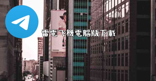 雷電飞機電腦版下載