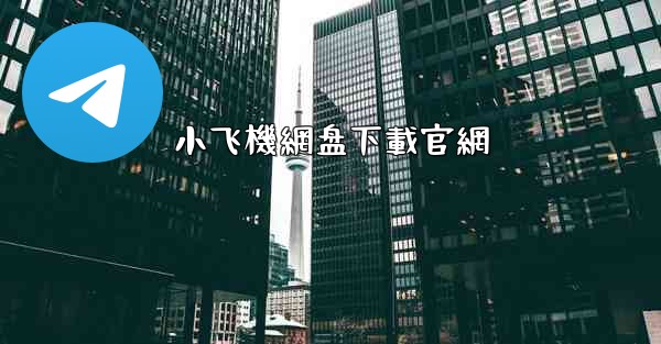 小飞機網盘下載官網