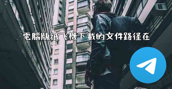 電腦版纸飞機下載的文件路径在