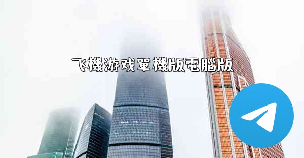 飞機游戏單機版電腦版