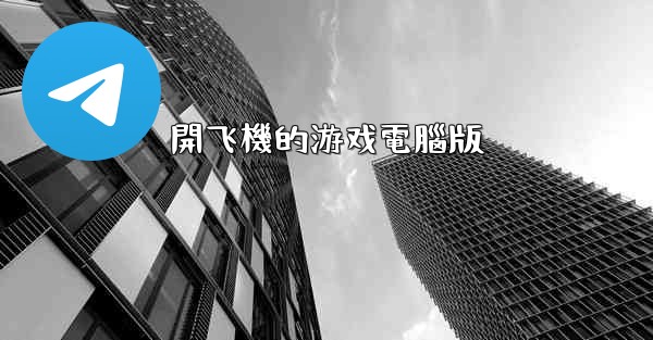 開飞機的游戏電腦版