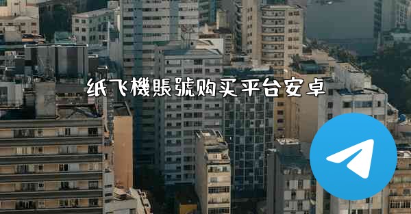 纸飞機賬號购买平台安卓