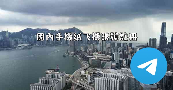國內手機纸飞機賬號註冊