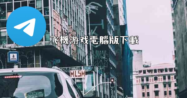 飞機游戏電腦版下載