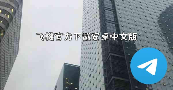 飞機官方下載安卓中文版