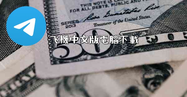 飞機中文版電腦下載