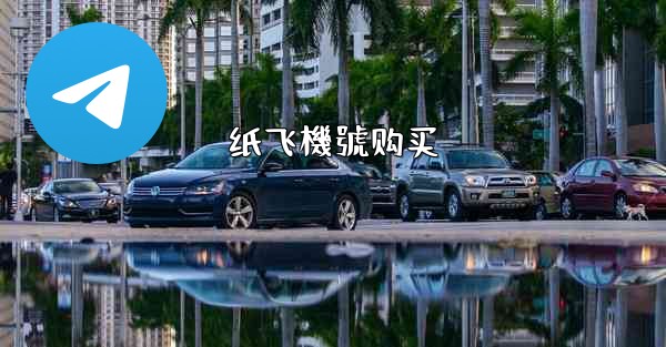 纸飞機號购买