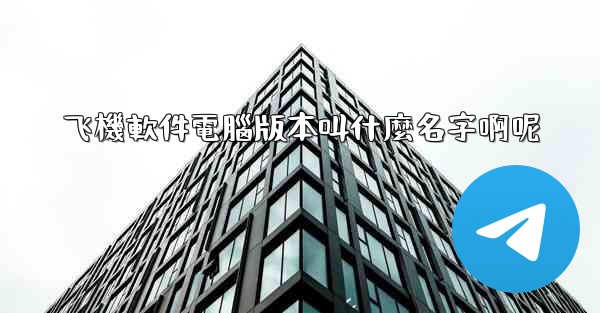 飞機軟件電腦版本叫什麼名字啊呢