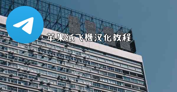 苹果纸飞機汉化教程