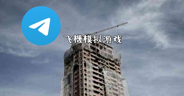 飞機模拟游戏