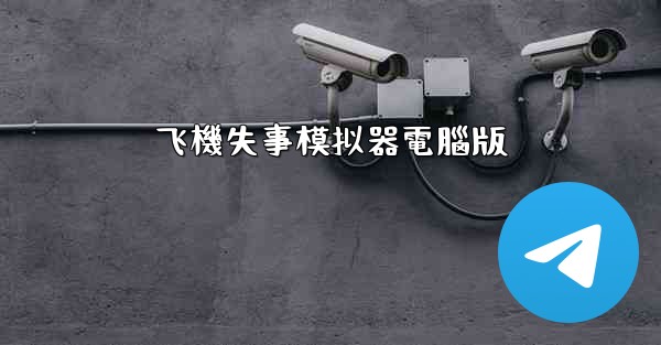 飞機失事模拟器電腦版