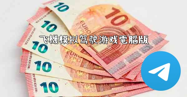 飞機模拟驾驶游戏電腦版