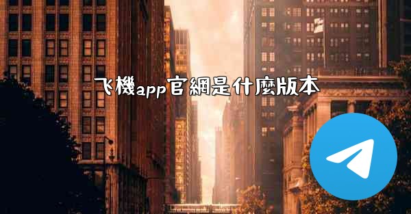 飞機app官網是什麼版本