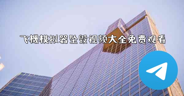 飞機模拟器坠毁视频大全免费观看