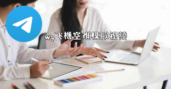 wg飞機空难模拟视频
