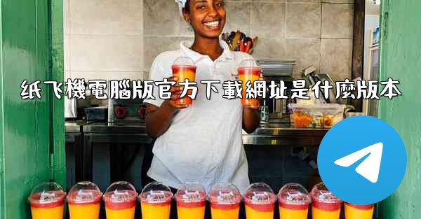 纸飞機電腦版官方下載網址是什麼版本
