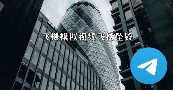 飞機模拟视频飞機坠毁